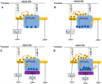 Enhancement of Responsivity in Solar-Blind UV Detector With Back-Gate MOS Structure Fabricated on β-Ga2O3 Films